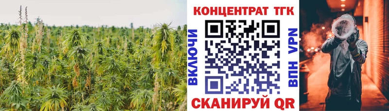 ТГК гашишное масло  Купить  Бабушкин 