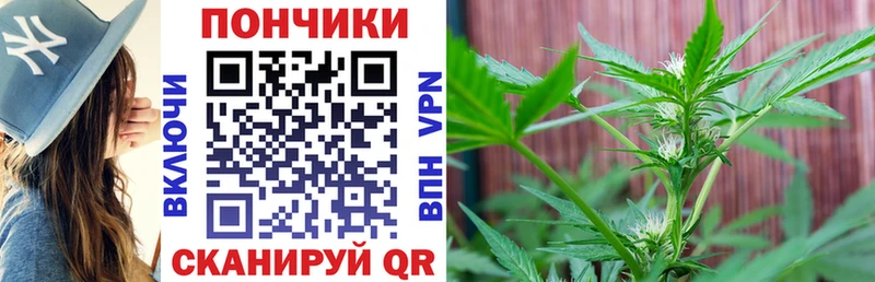 Конопля Bruce Banner  Купить  Бабушкин 